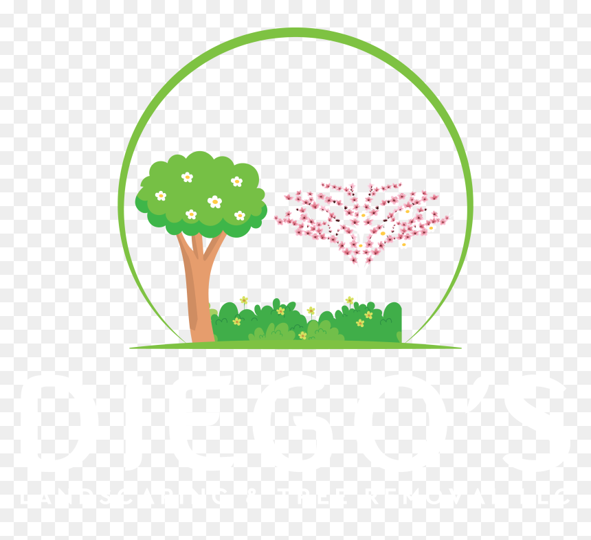 Diego"s Landscaping And Tree Removal Llc - Illustration, HD Png Download - landscaping plants png