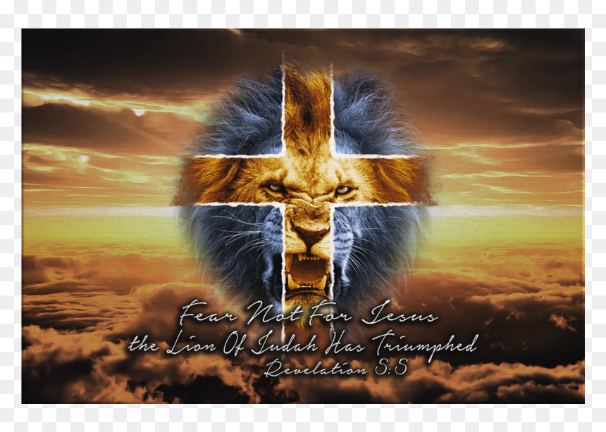 Lion Of Judah Png, Transparent Png - lion of judah png