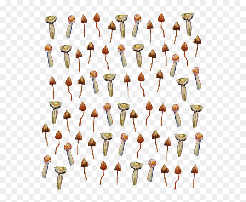 Collection, HD Png Download - magic mushroom png