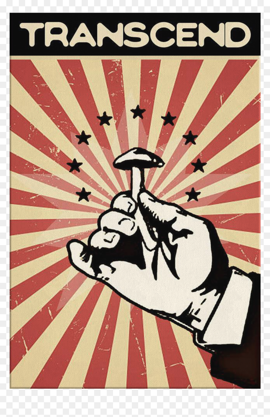 Transcend Magic Mushroom, HD Png Download - magic mushroom png