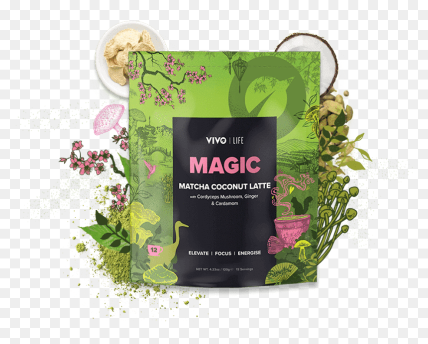Matcha, HD Png Download - magic mushroom png