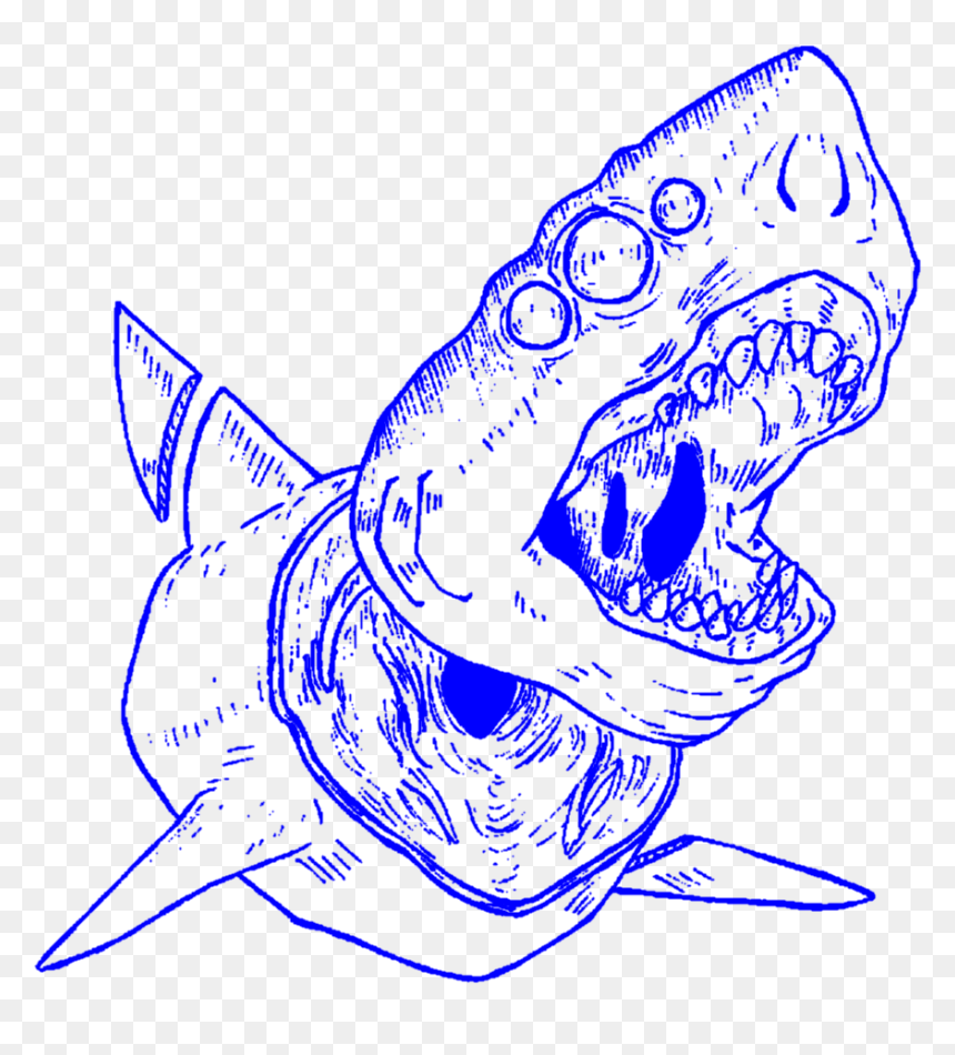 #aesthetic #art #lineart #outline #shark #sharks #decapitated - Outlines Aesthetic Png, Transparent Png - shark outline png