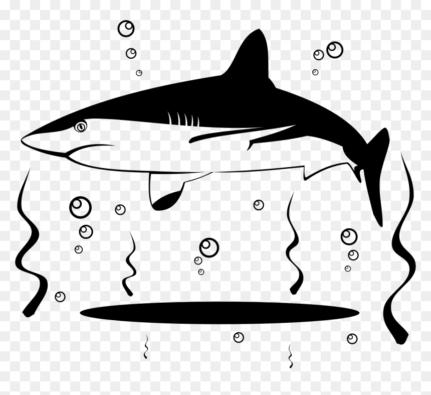 Duck Clipart Shark Black And White - Vector Graphics, HD Png Download - shark outline png
