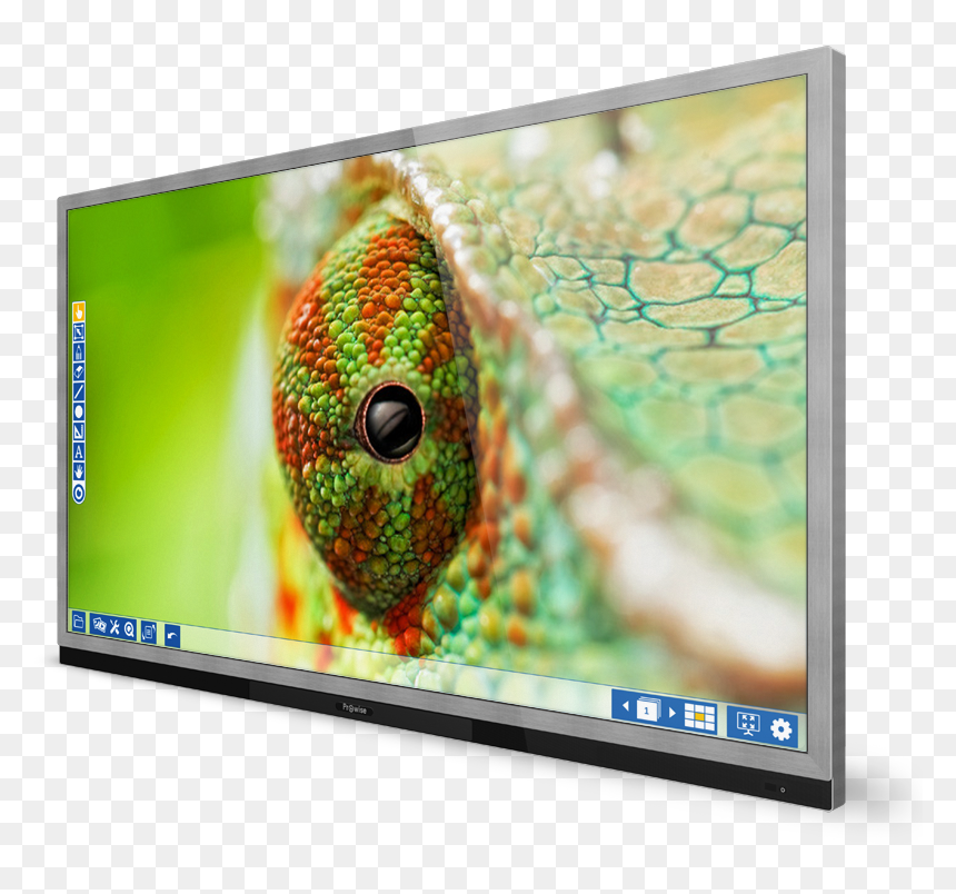 Interactive Flatscreens - Full Hd Wallpapers Chameleon, HD Png Download - flatscreen png