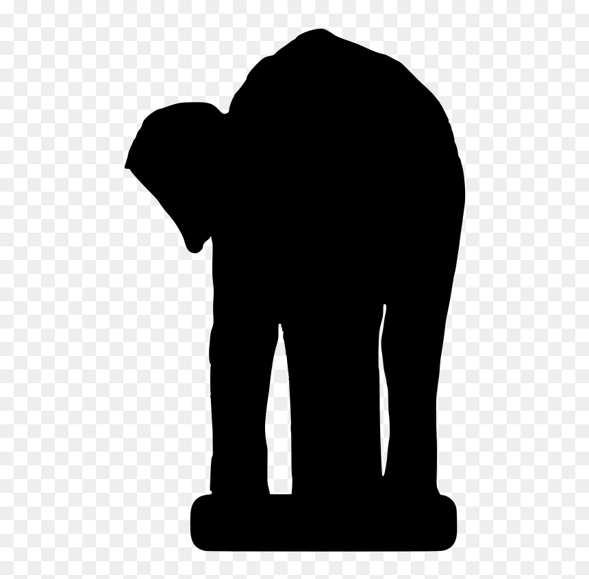Indian Elephant, HD Png Download - elephant trunk png