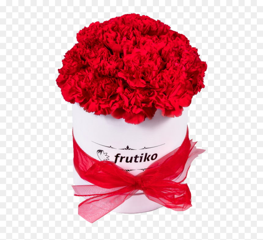 Red Carnations White Oval Box - Garden Roses, HD Png Download - red carnation png
