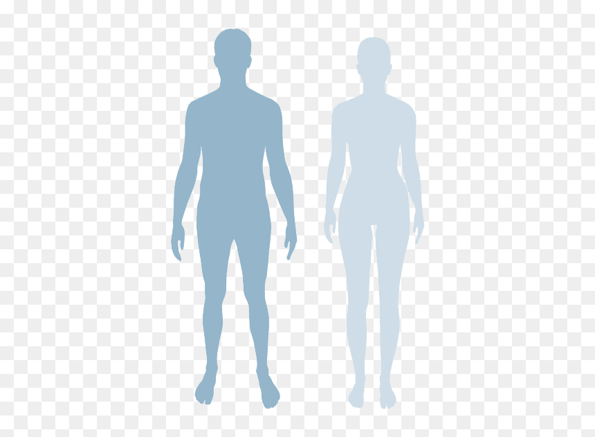 Standing, HD Png Download - body silhouette png