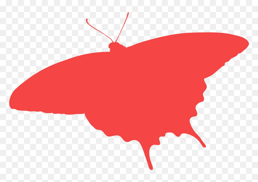 Illustration, HD Png Download - mariposas vector png