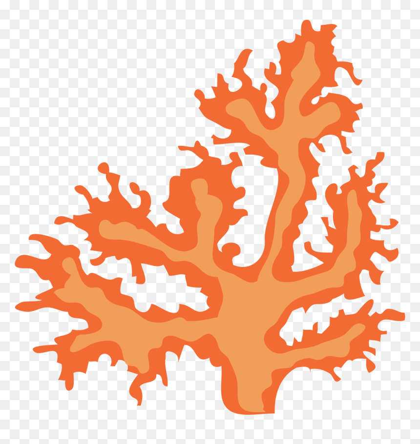 Illustration, HD Png Download - plant with roots png