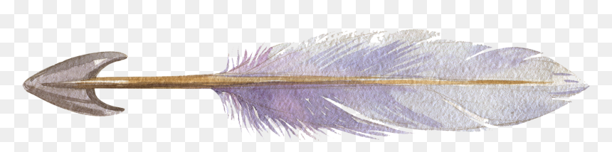 Arrow-right - Sketch, HD Png Download - zentangle png