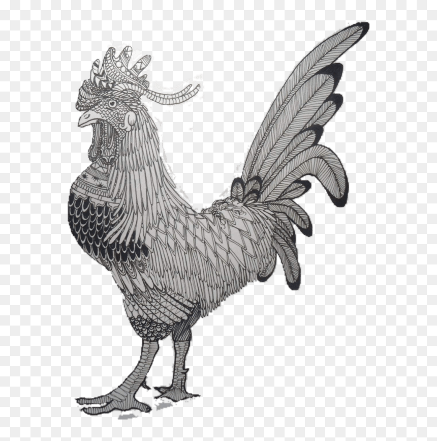 Rooster, HD Png Download - zentangle png
