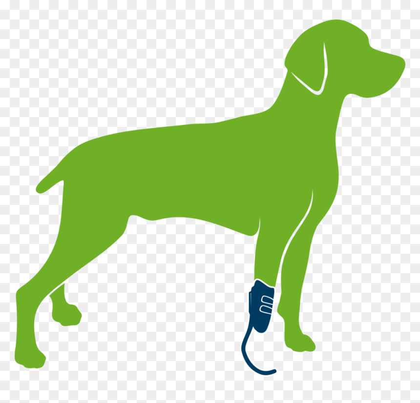 Dog With Prosthesis Only, HD Png Download - dog laying down png