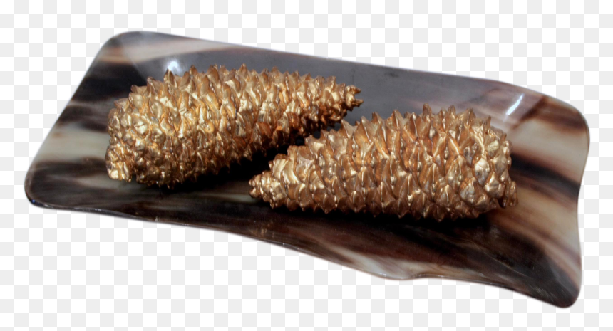 Wood, HD Png Download - pinecones png
