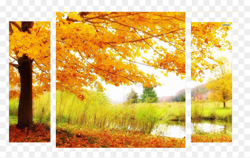 Autumnsplash Alt Banner - 2048 By 1152 Fall, HD Png Download - autumn banner png