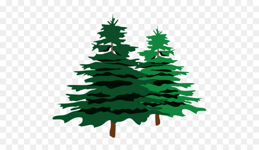 Christmas Tree Illustration Png, Transparent Png - christmas tree illustration png