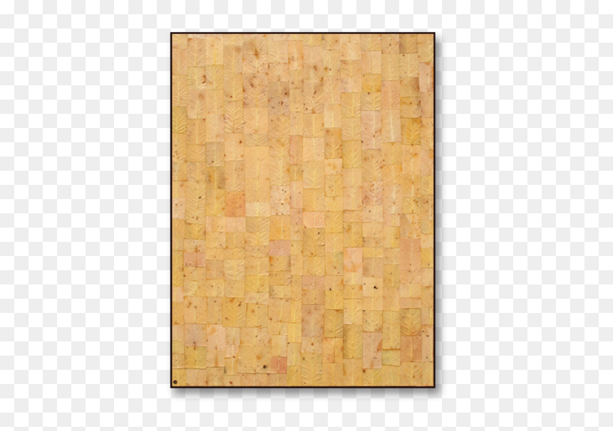 Textured "painting - Plywood, HD Png Download - tree bark texture png