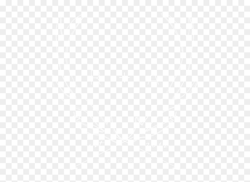 Final Antler Logo Transparent White - Plan White, HD Png Download - arrow frame png