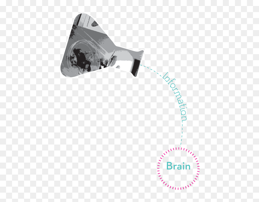 Rear-view Mirror, HD Png Download - stingy png