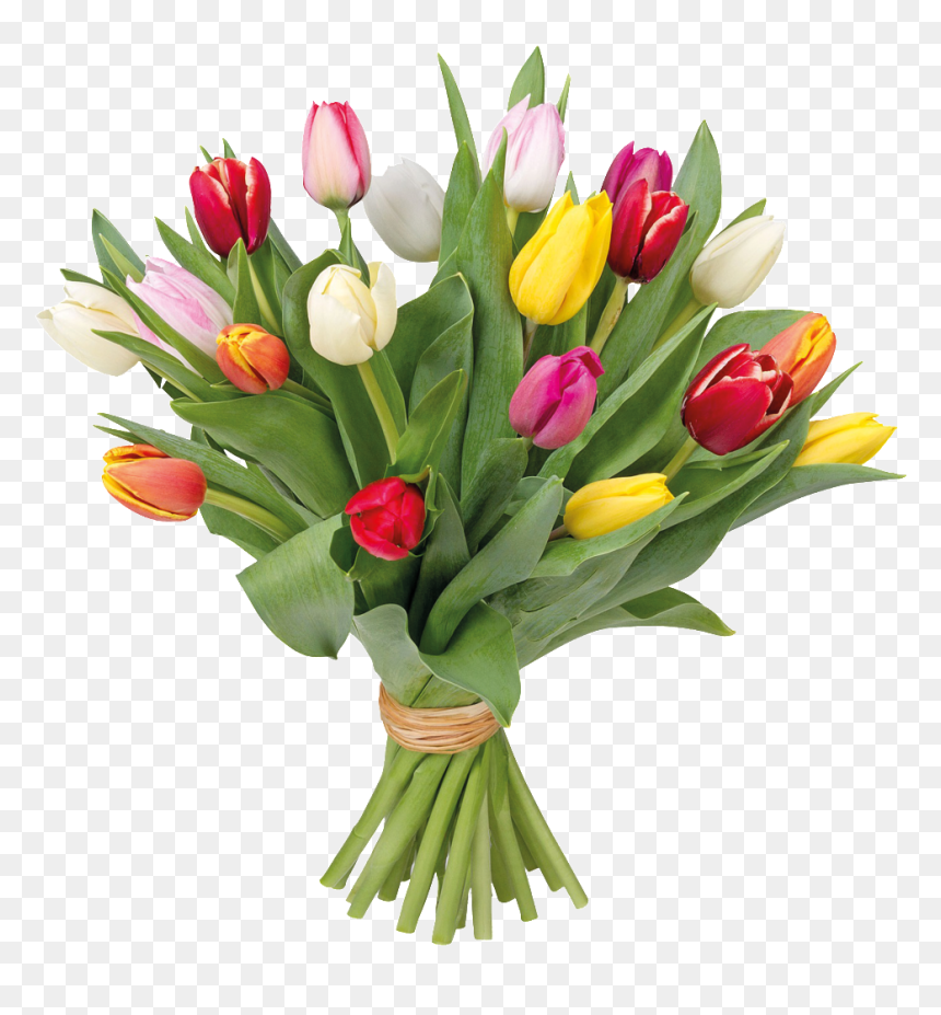 Romantic Hand Pot Flower Cartoon Transparent - Bouquet, HD Png Download - ramos de flores png