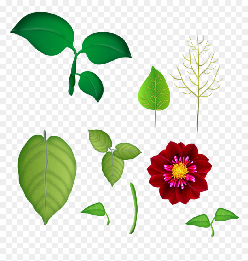 Flores E Folhas Png - Folhas De Flor Png, Transparent Png - folhas png