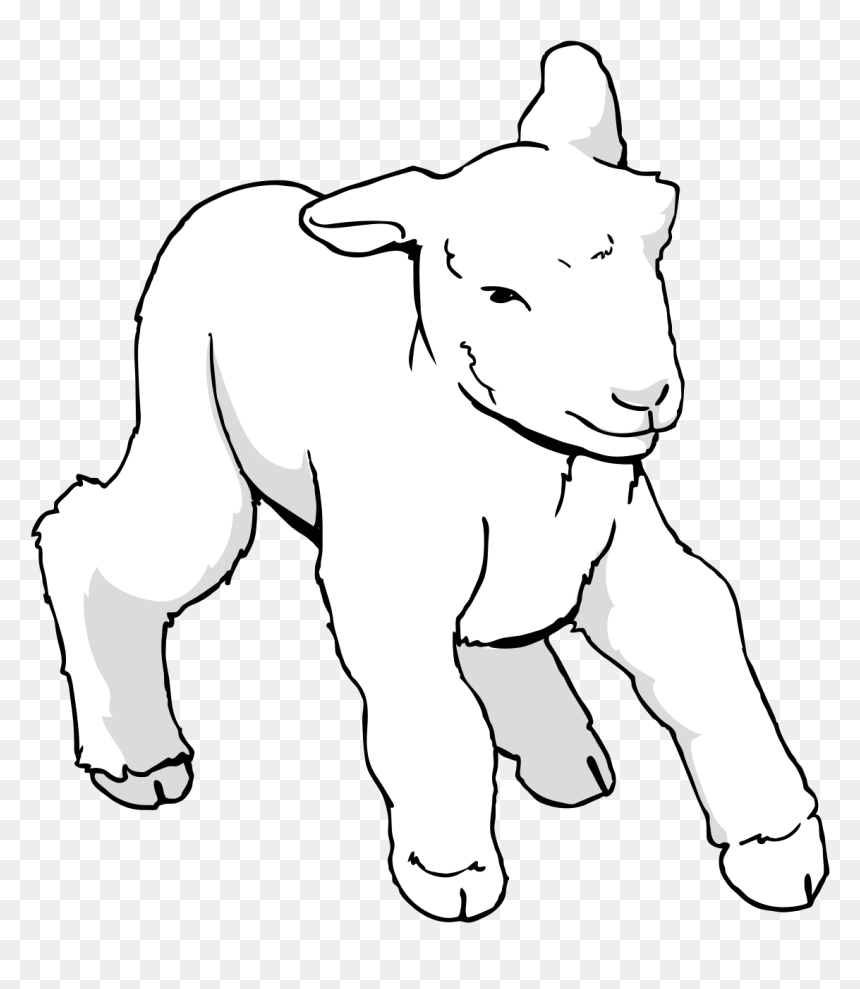 Clipart Agneau, HD Png Download - sheep head png