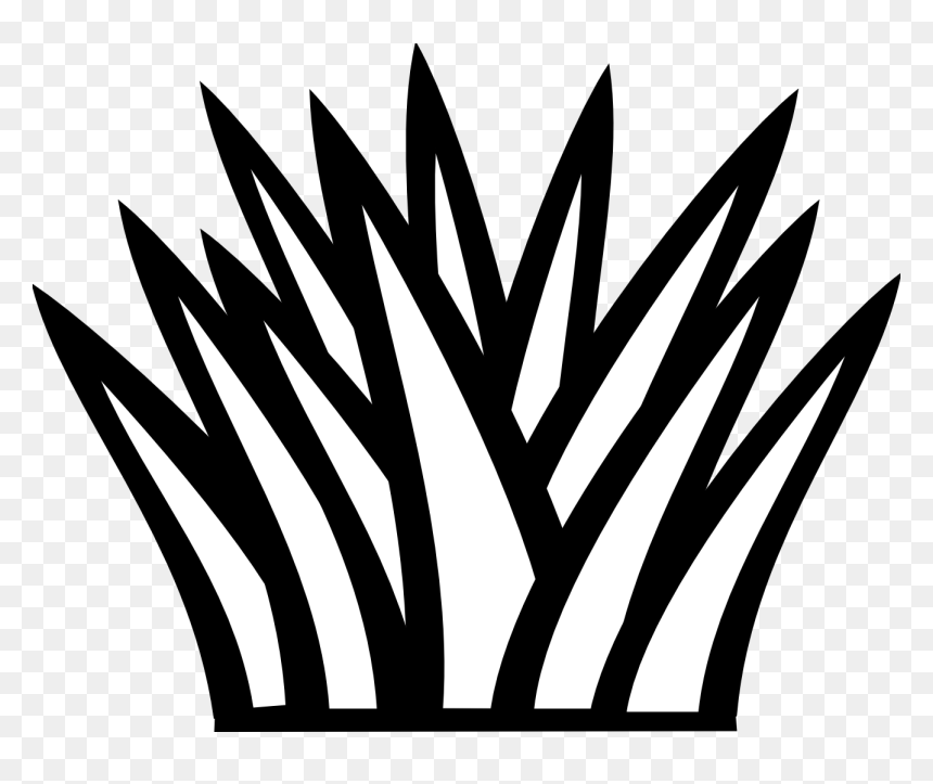 Cactus Clipart Black And White Cactus Clipart Black - Black And White Clip Art Grass, HD Png Download - white grass png