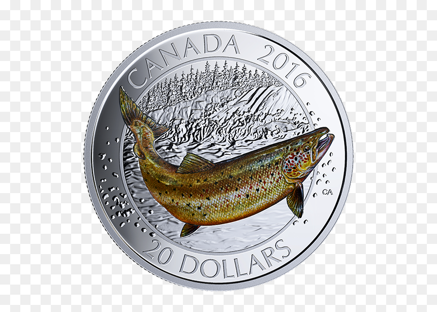 Salmon Coins, HD Png Download - big fish png