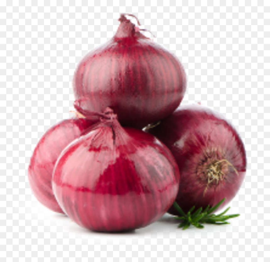 Rapid In-field Determination Of Nitrogen In Onions - Big Onion Png, Transparent Png - onion plant png