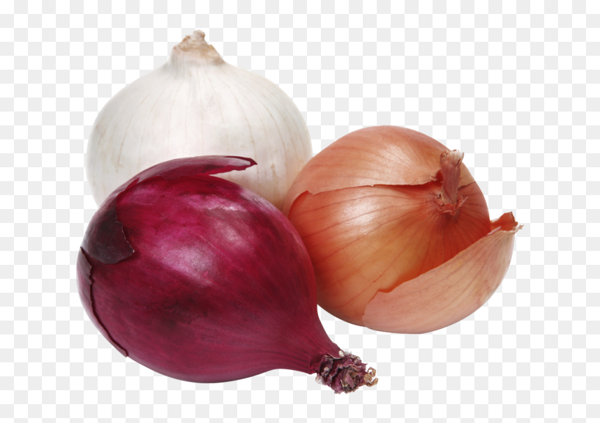 Onions Red And Yellow, HD Png Download - onion plant png