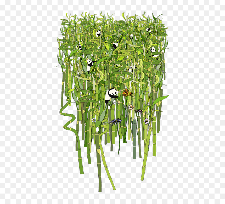 Grass, HD Png Download - bamboo forest png