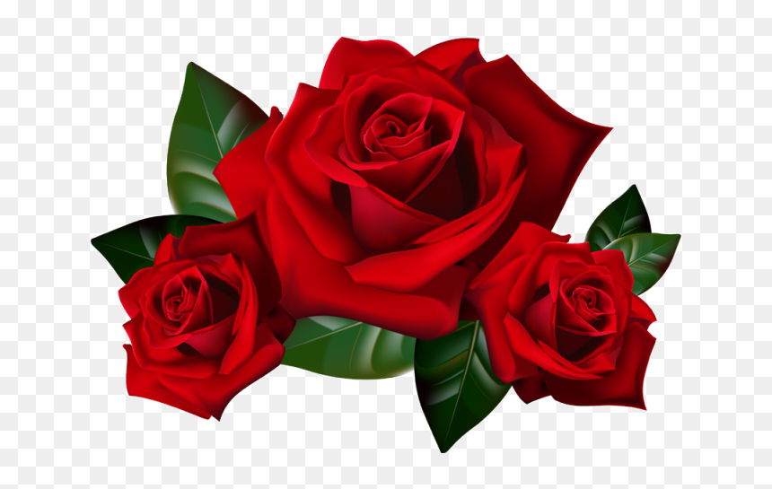 Rose In Png, Transparent Png - rosa vermelha png