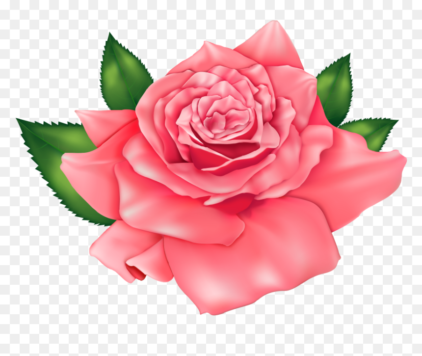 Flores Rosa Vermelha 3 Png - Rose Flowers Clip Art, Transparent Png - rosa vermelha png