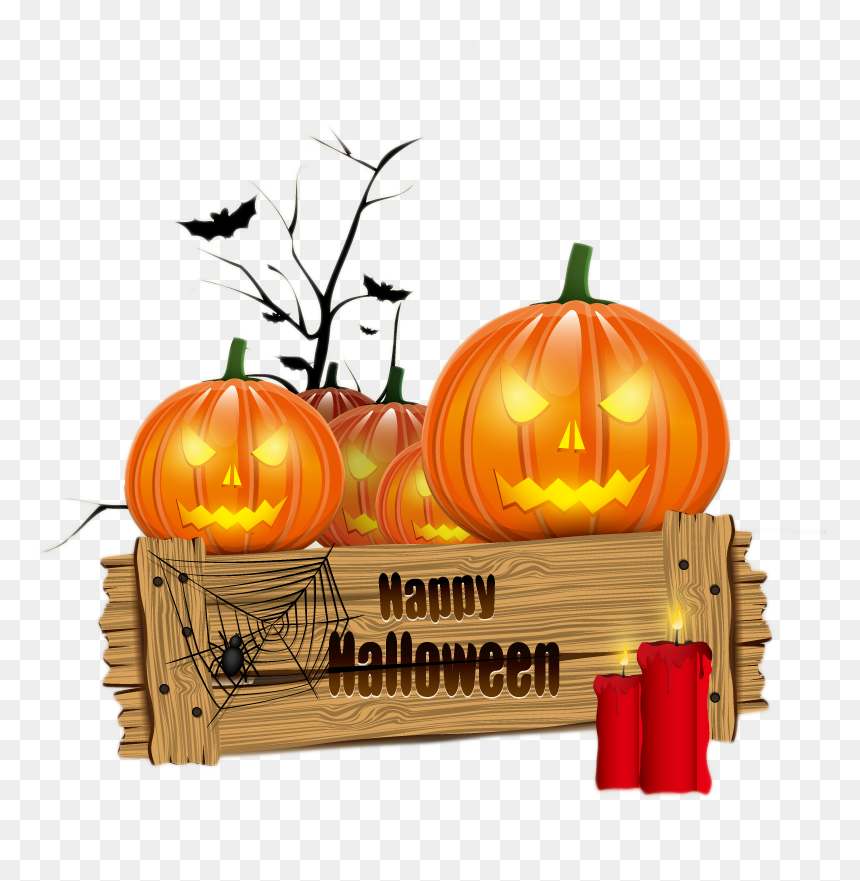 3 Bunches 111 Pieces Water Bomb Balloon For Summer - Halloween Pumpkin Transparent Background, HD Png Download - beach party png