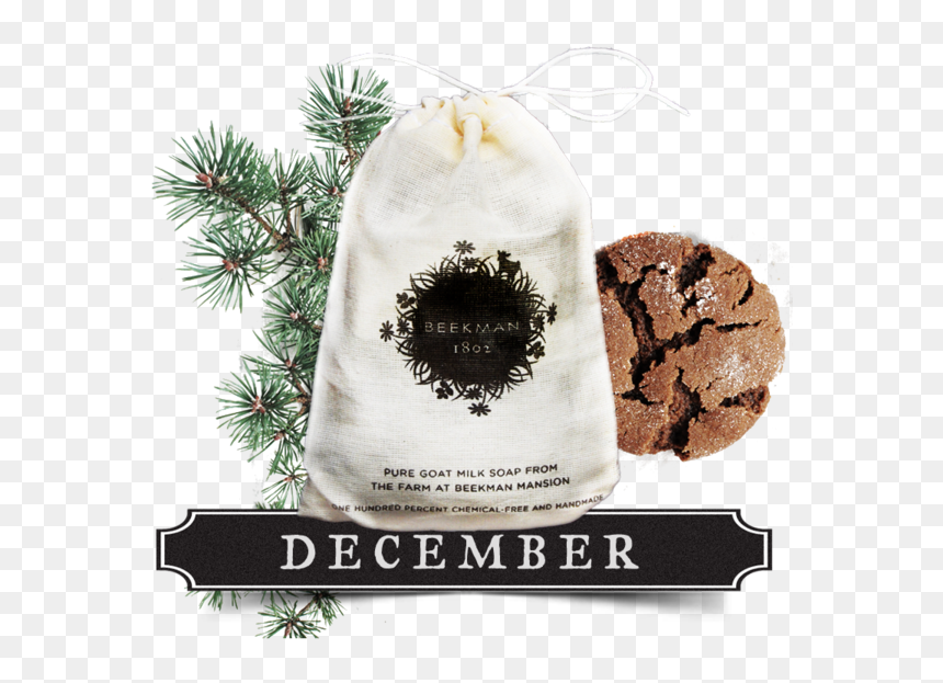 Beekman 1802, HD Png Download - pine bough png