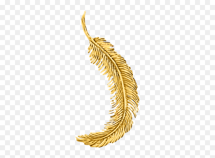 Tiffany"s 18k Yellow Gold Feather Pin - Gold Feather Png, Transparent Png - pine bough png
