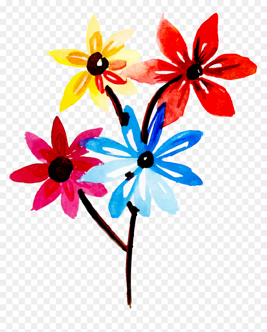Black-eyed Susan, HD Png Download - black eyed susan png