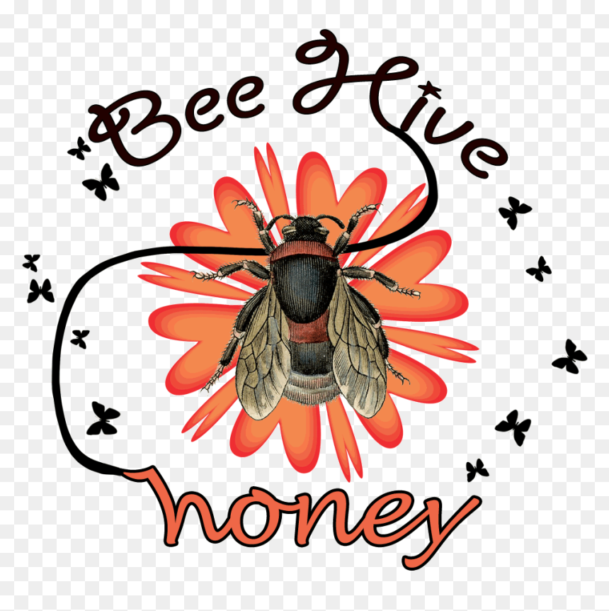 Transparent Vintage Beehive Clipart - Bee, HD Png Download - black eyed susan png