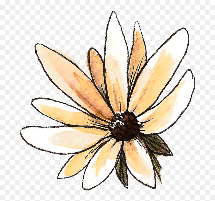Purity Acne Clearing Cleanse Mask - Black-eyed Susan, HD Png Download - black eyed susan png