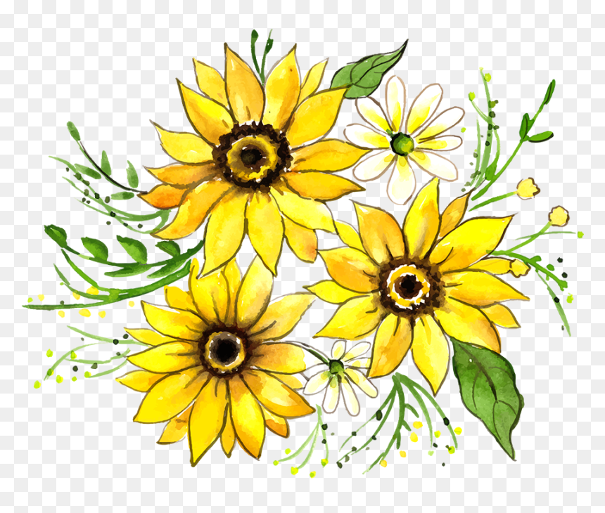 Black-eyed Susan, HD Png Download - black eyed susan png