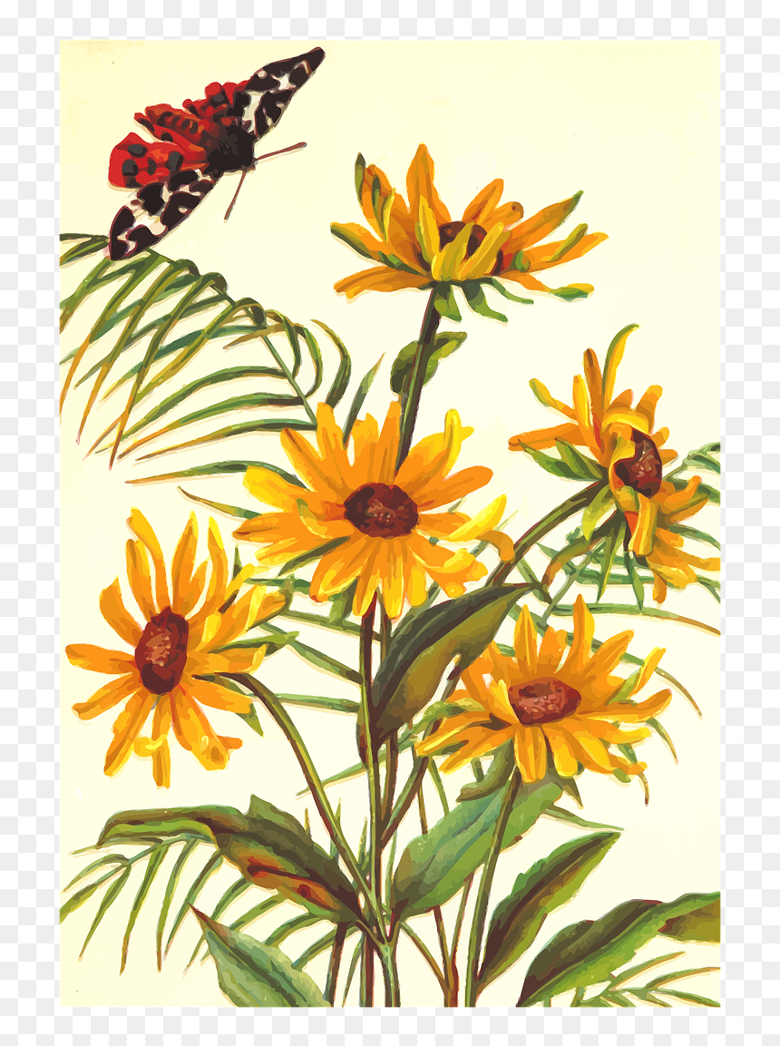 Flower, HD Png Download - black eyed susan png