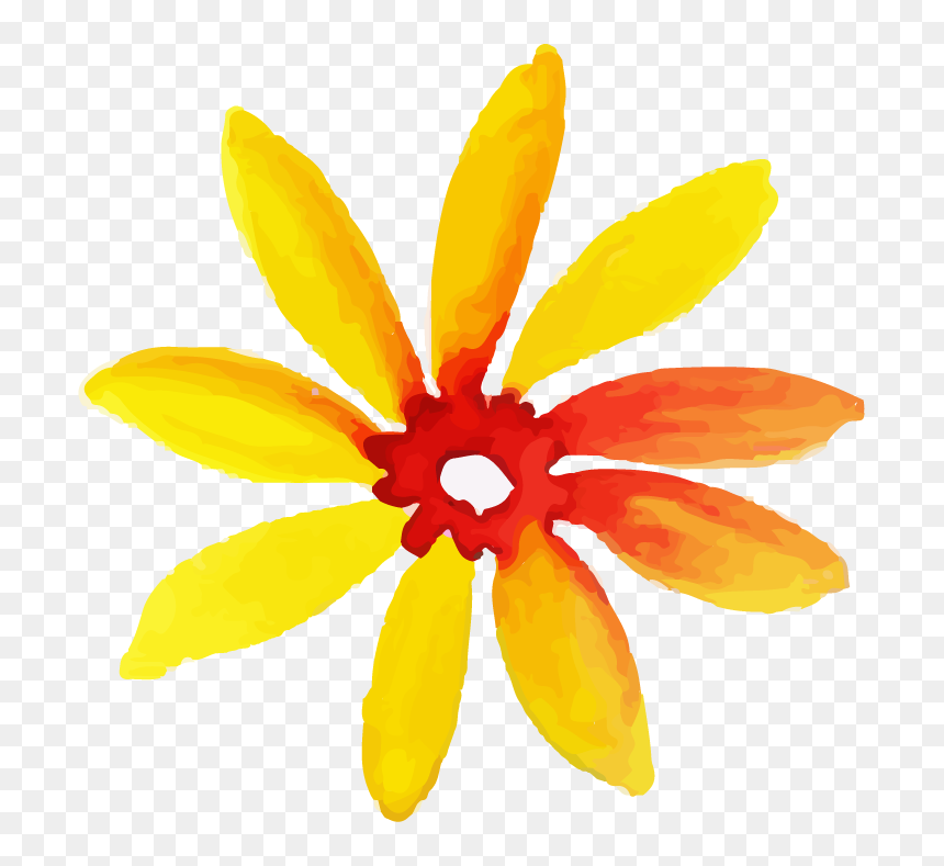 Black-eyed Susan, HD Png Download - black eyed susan png