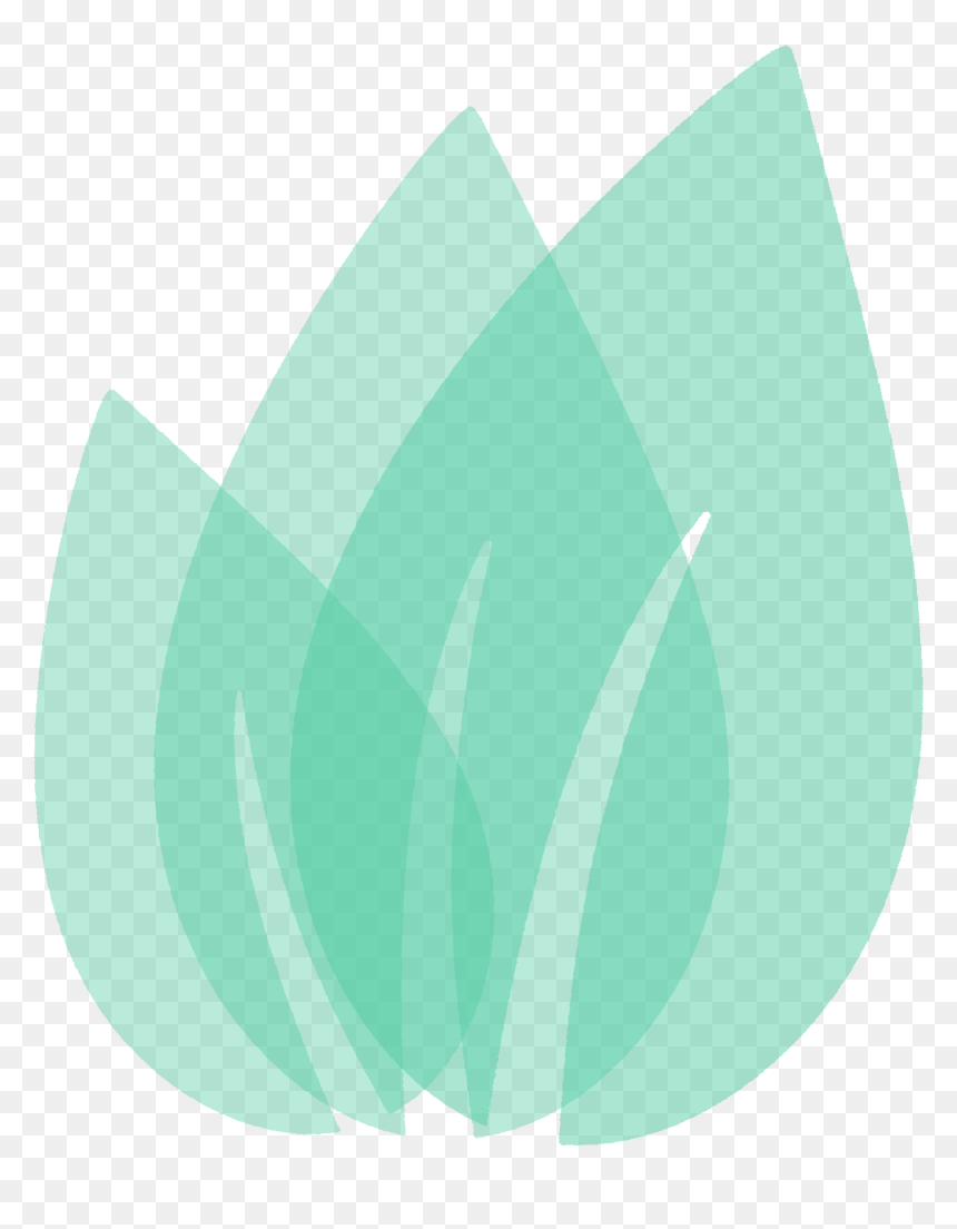 Graphic Design, HD Png Download - single green leaf png
