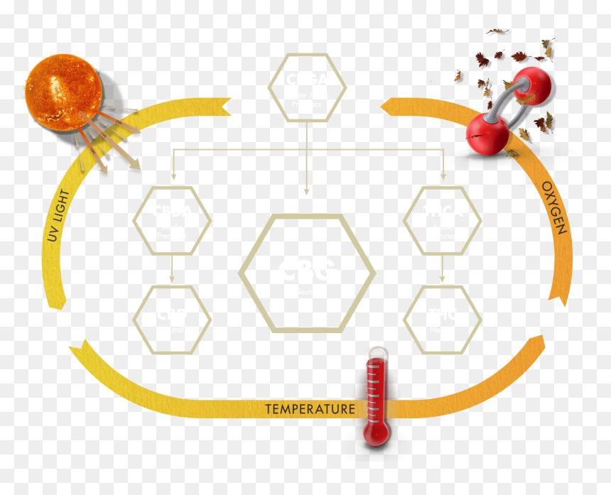 Clip Art, HD Png Download - thc molecule png