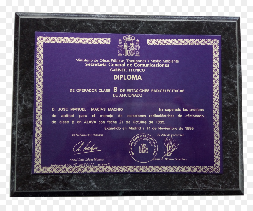 Label, HD Png Download - placa de oro png