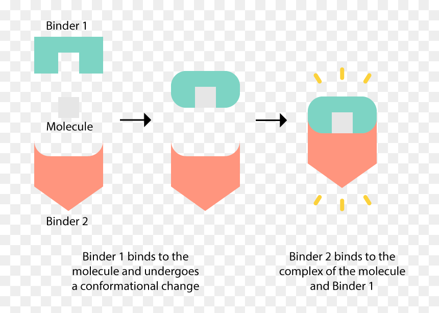 Diagram, HD Png Download - thc molecule png