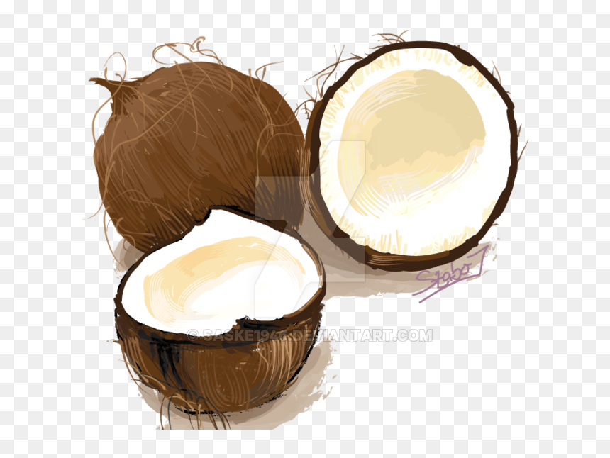 Coconuts Vector Illustration - Cake, HD Png Download - coconut vector png