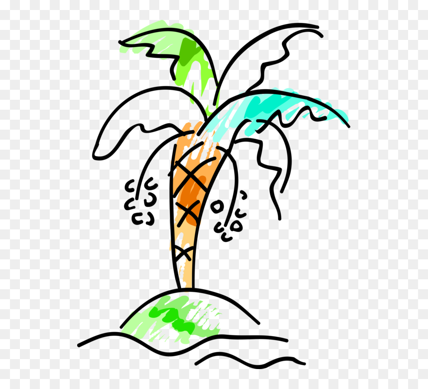 Vector Illustration Of Arecaceae Palm Tree With Coconuts, HD Png Download - coconut vector png