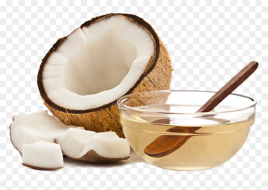 Oil Coconut, HD Png Download - coconut vector png