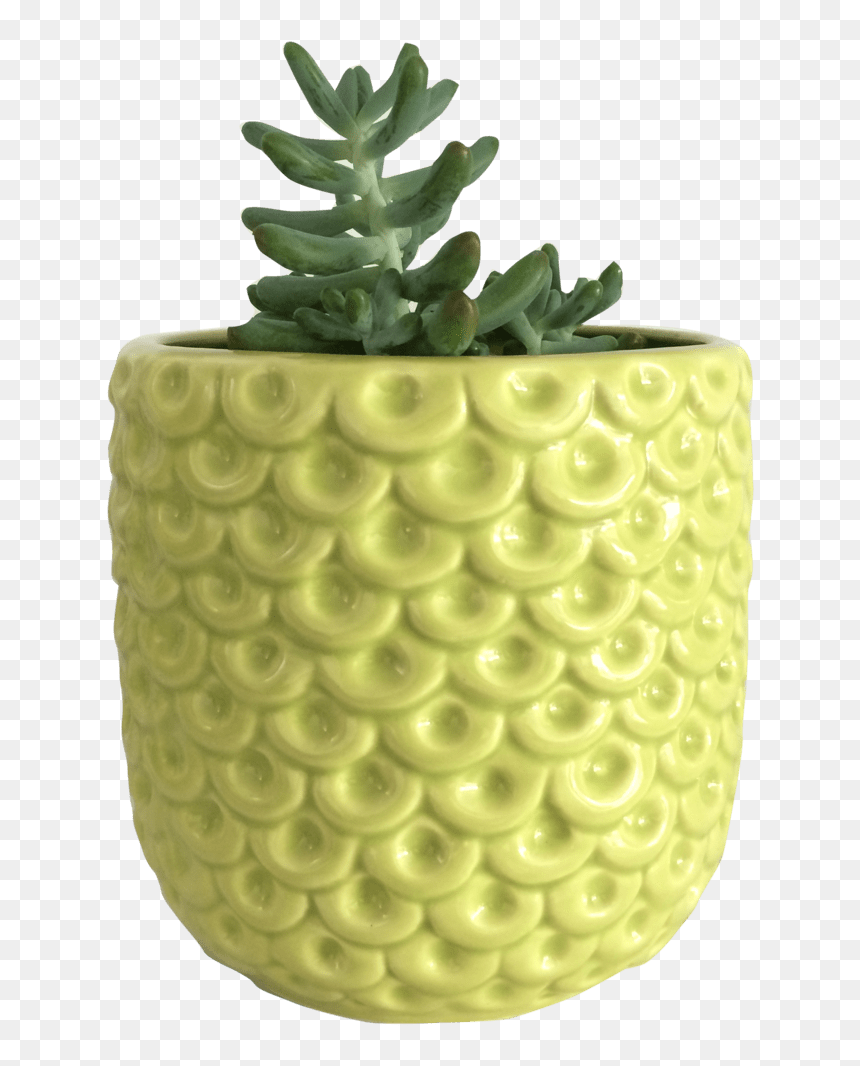 Grape, HD Png Download - limon verde png
