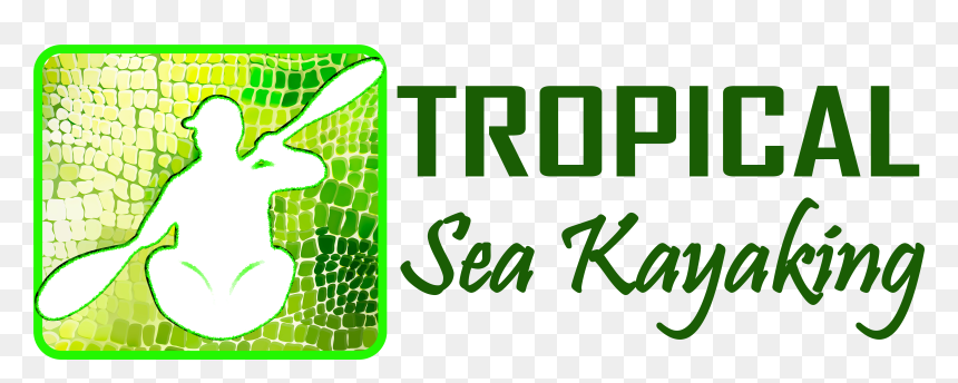 Field Lacrosse, HD Png Download - palmeras tropicales png